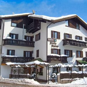 Hotel Stella Alpina**